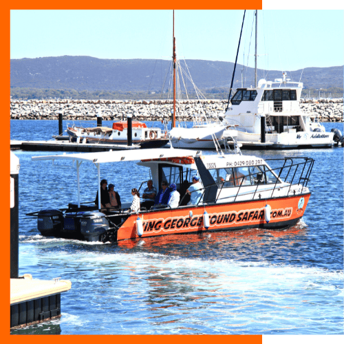 The Young Salty Dog heading out of Albany Marina for another cruise