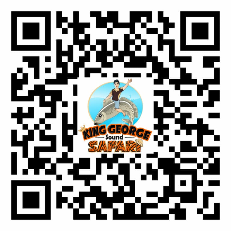King George Sound Safari Messenger QR Code for Safari Alerts