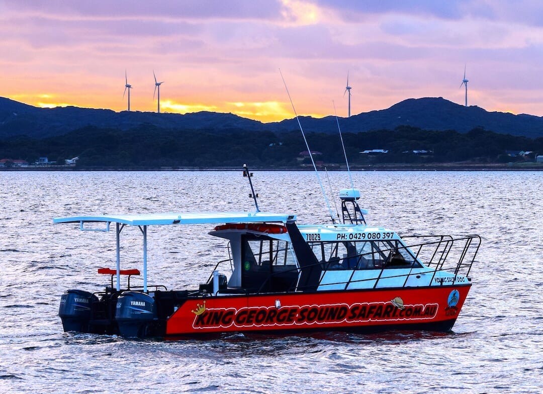 Call us to arrange a sunset Safari around Princess Royal Harbour